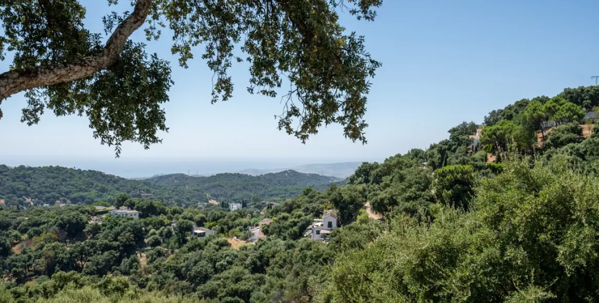 Sale of detached villa in Casares 18