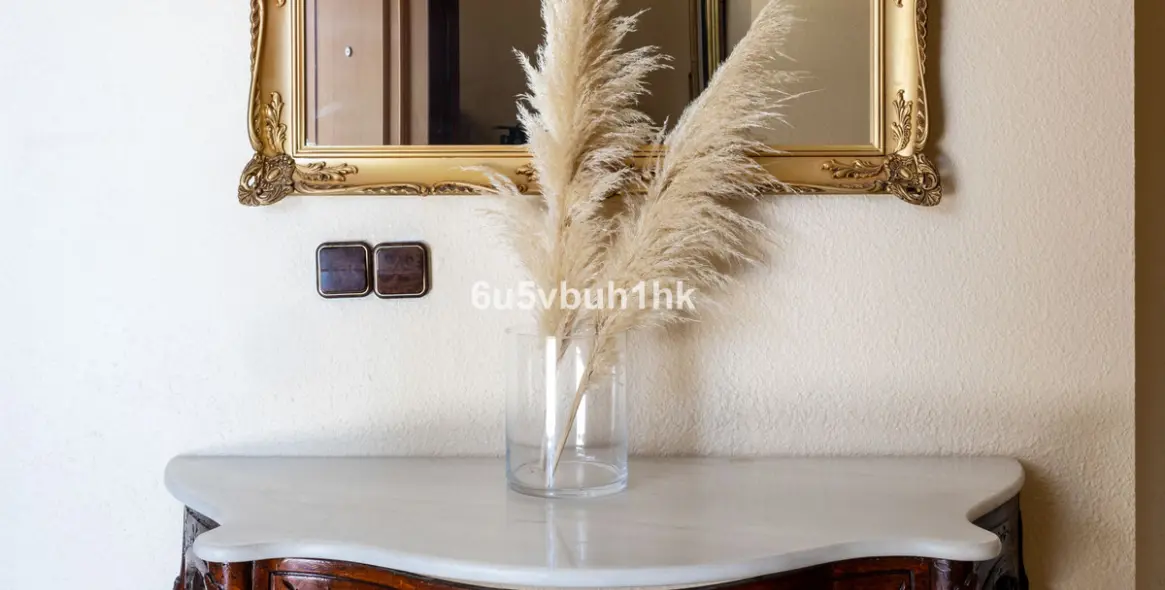 Sale of detached villa in Arroyo de la Miel 51