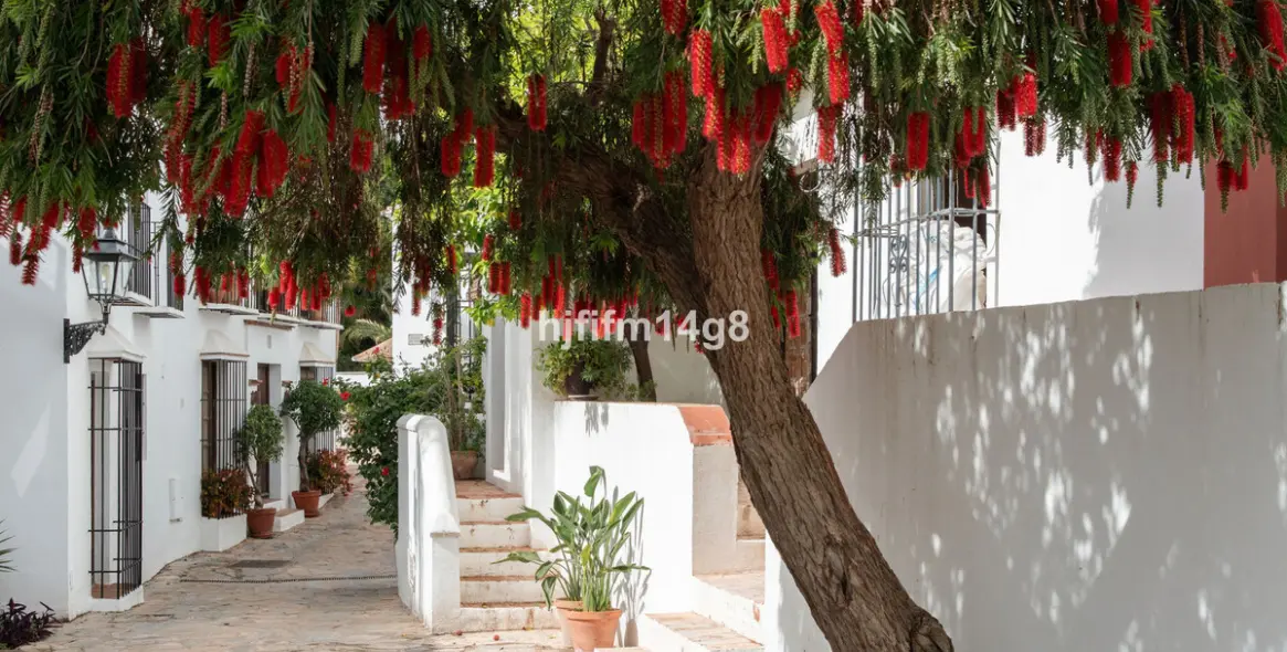 Продажа таунхауса в The Golden Mile 43