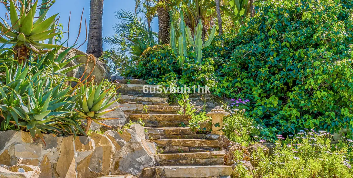 Sale of detached villa in Mijas 40