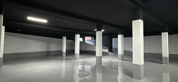 Sale of commercial premises in San Pedro de Alcántara 2