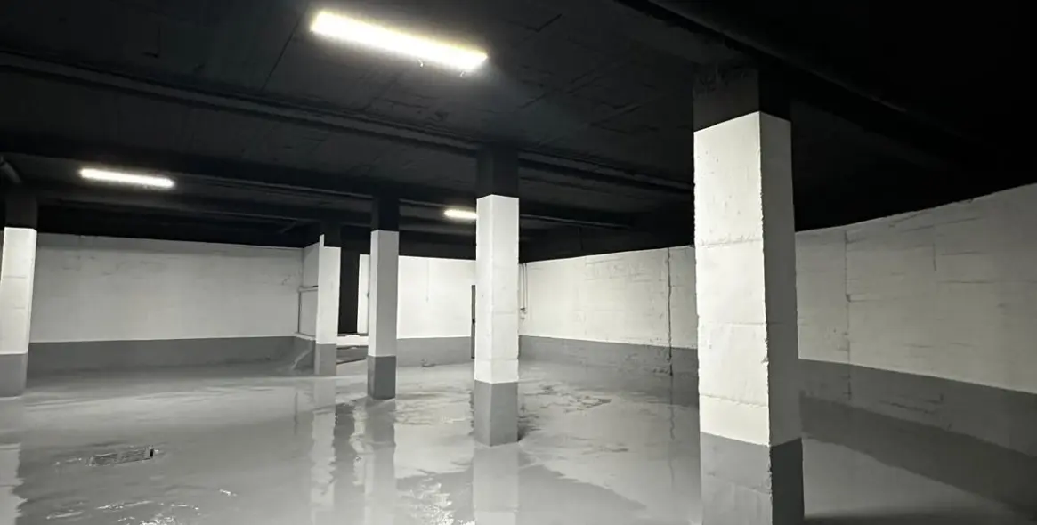 Sale of commercial premises in San Pedro de Alcántara 4