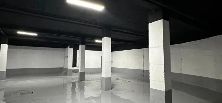 Sale of commercial premises in San Pedro de Alcántara 3