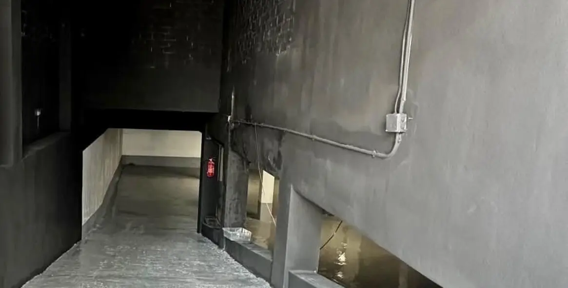 Sale of commercial premises in San Pedro de Alcántara 8