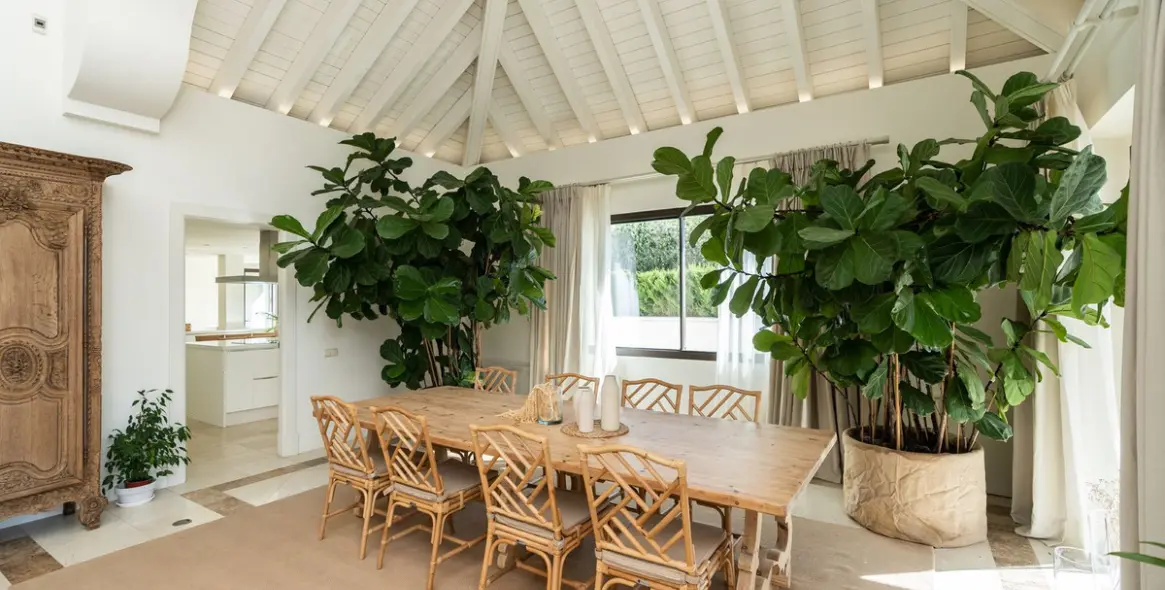 Long-term rent of detached villa in The Golden Mile 22