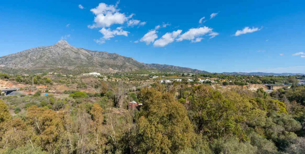 Long-term rent of detached villa in The Golden Mile 42