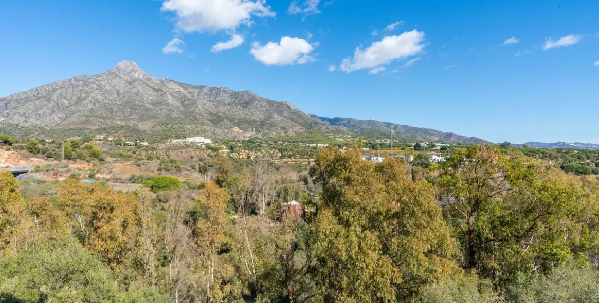 Long-term rent of detached villa in The Golden Mile 48