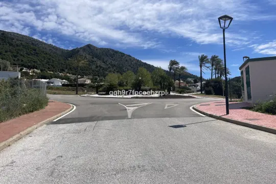 Image 1 thumb