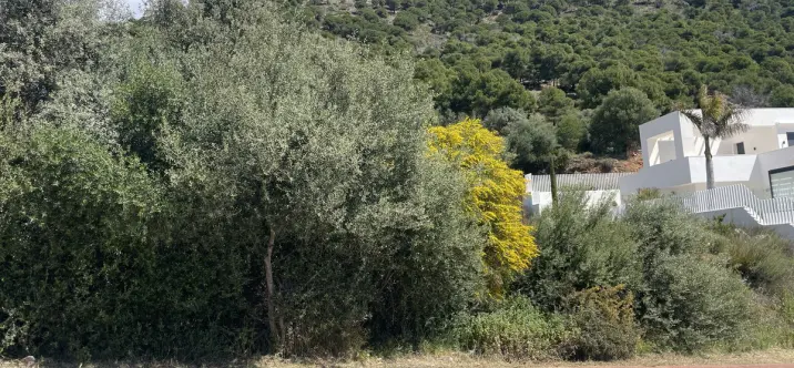 Venta de parcela residencial en Mijas 3