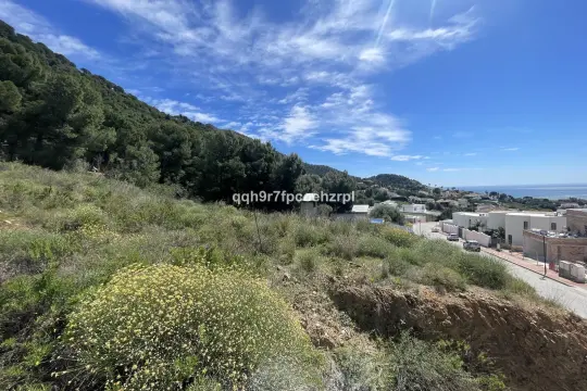Image 7 thumb