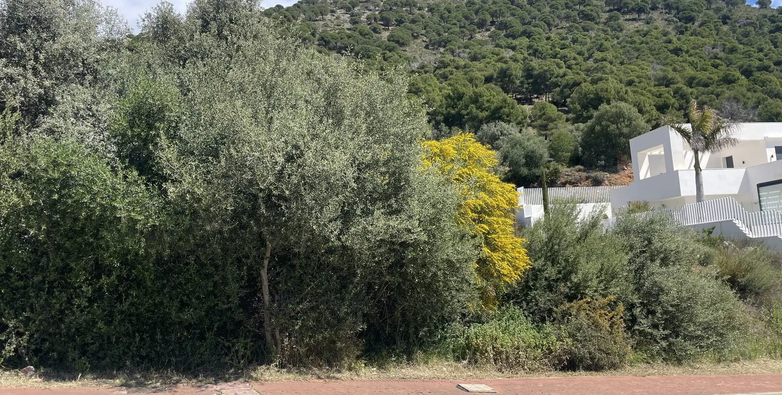 Venta de parcela residencial en Mijas 4
