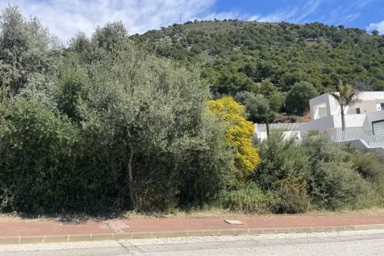 Image 4 thumb
