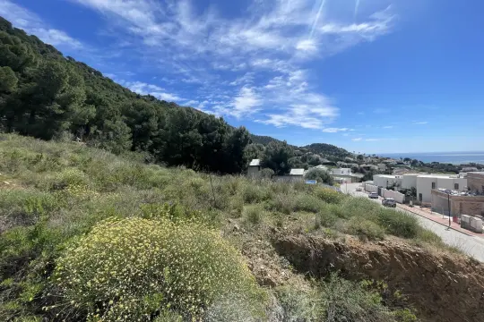 Image 7 thumb