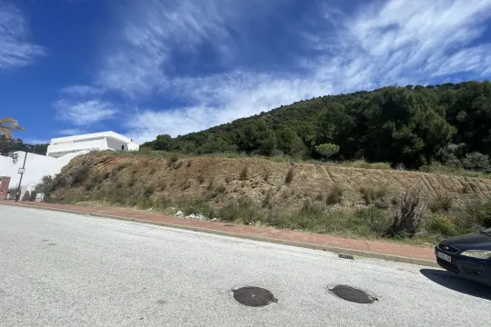 Image 5 thumb