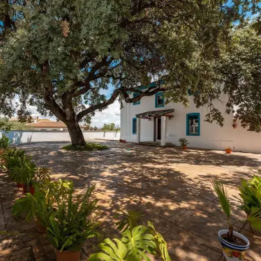 Sale of detached villa in Alhaurín el Grande