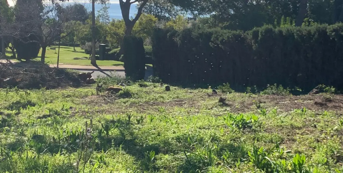 Продажа  жилого участка в The Golden Mile 2