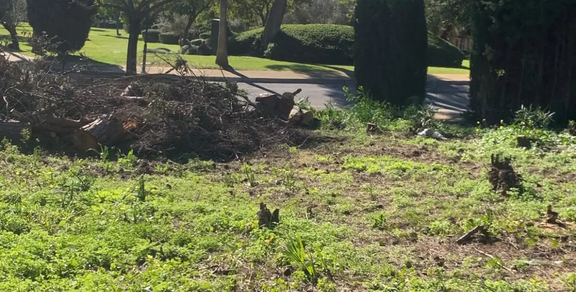 Продажа  жилого участка в The Golden Mile 15