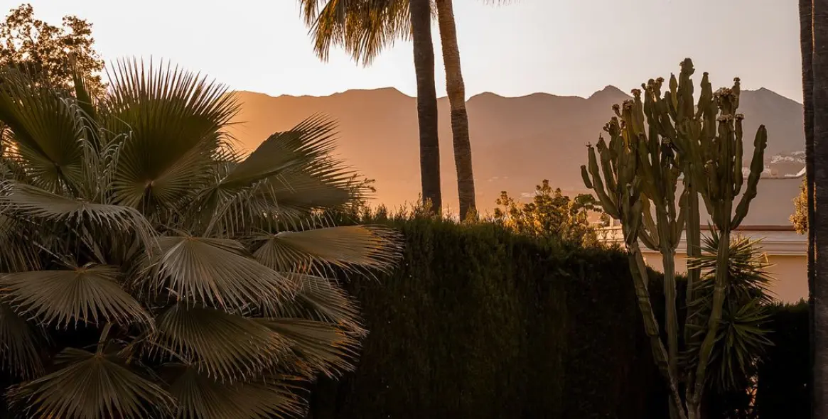 Продажа  отдельно стоящей виллы в El Rosario 60