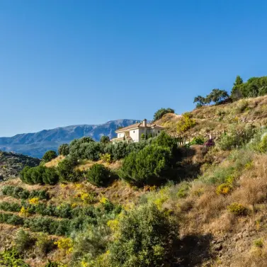 Sale of detached villa in Vélez-Málaga