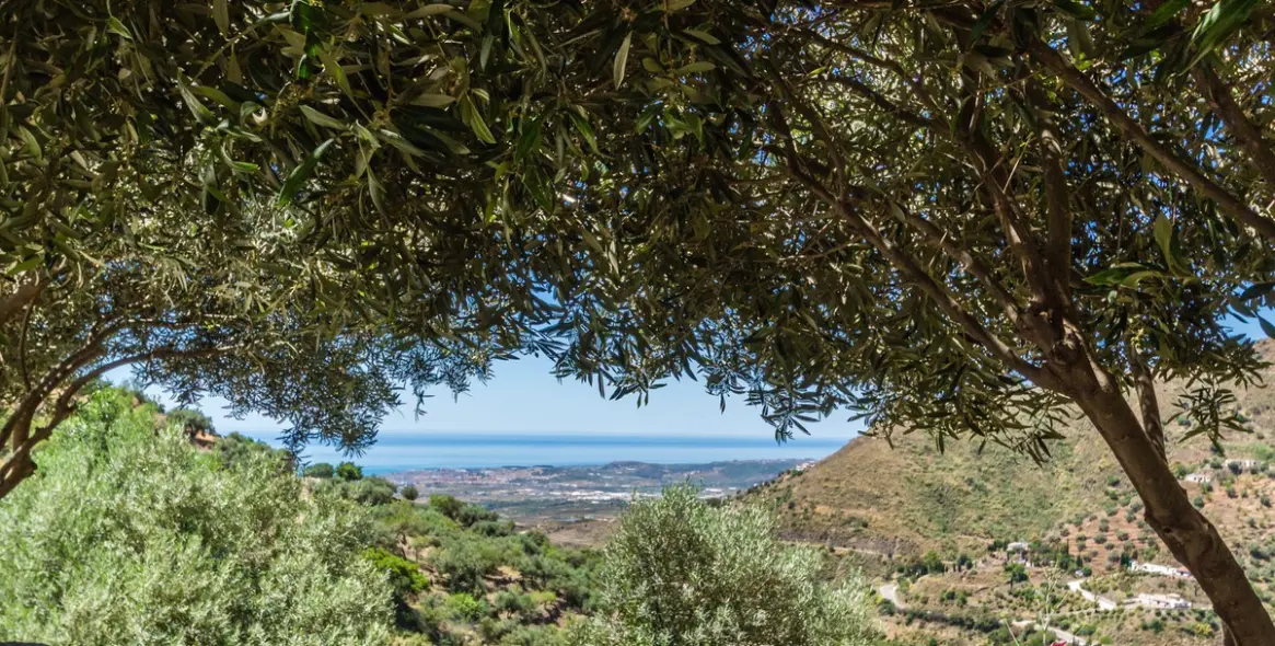 Sale of detached villa in Vélez-Málaga 15