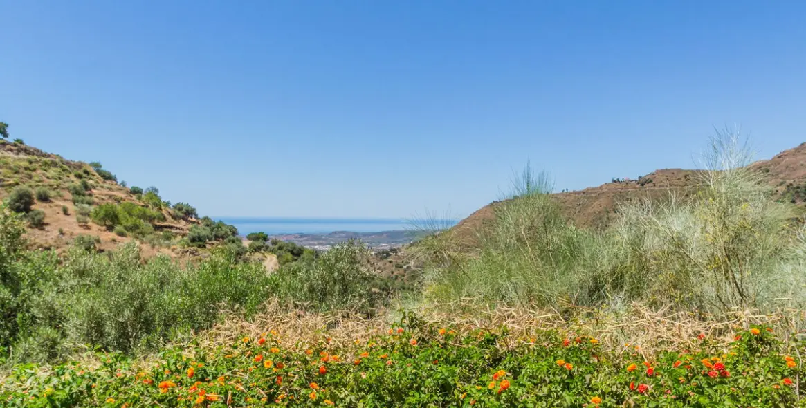 Sale of detached villa in Vélez-Málaga 22
