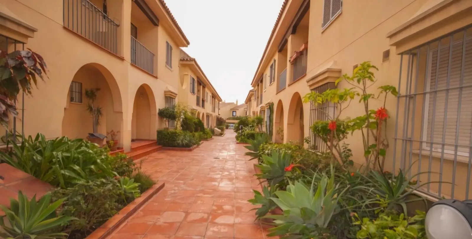 Sale of townhouse in San Pedro de Alcántara 1