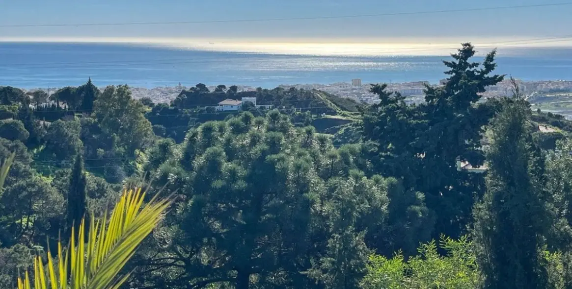 Продажа  отдельно стоящей виллы в Estepona 22