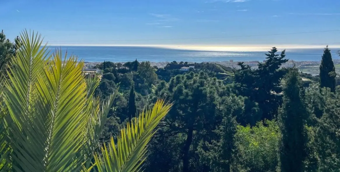 Продажа  отдельно стоящей виллы в Estepona 23