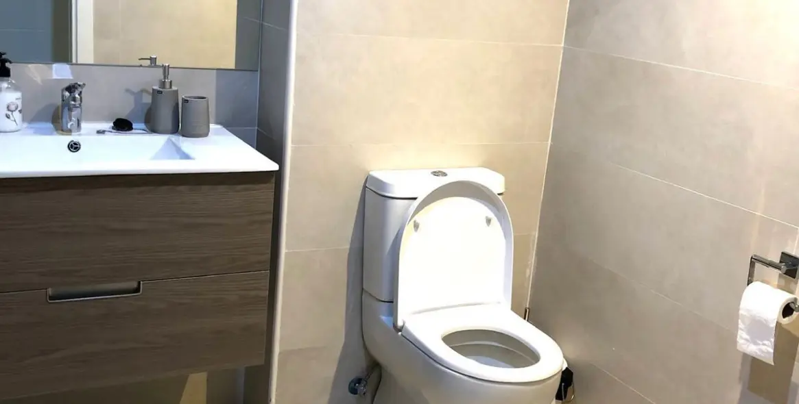 Продажа пентхауса в Nueva Andalucía 18