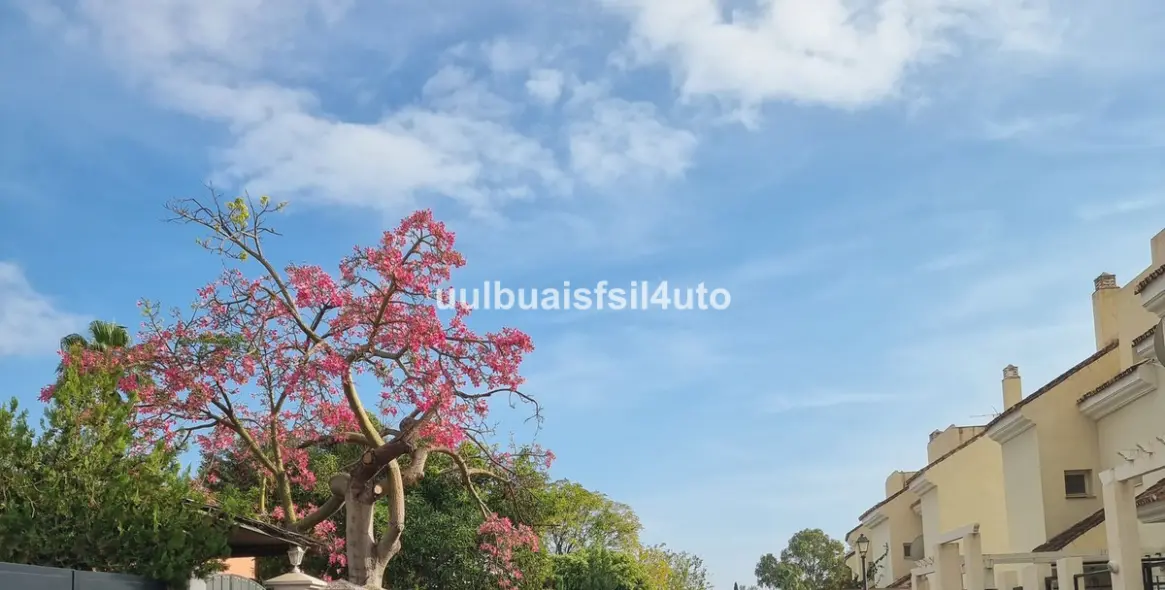 Alquiler a largo plazo de adosado en Nueva Andalucía 3