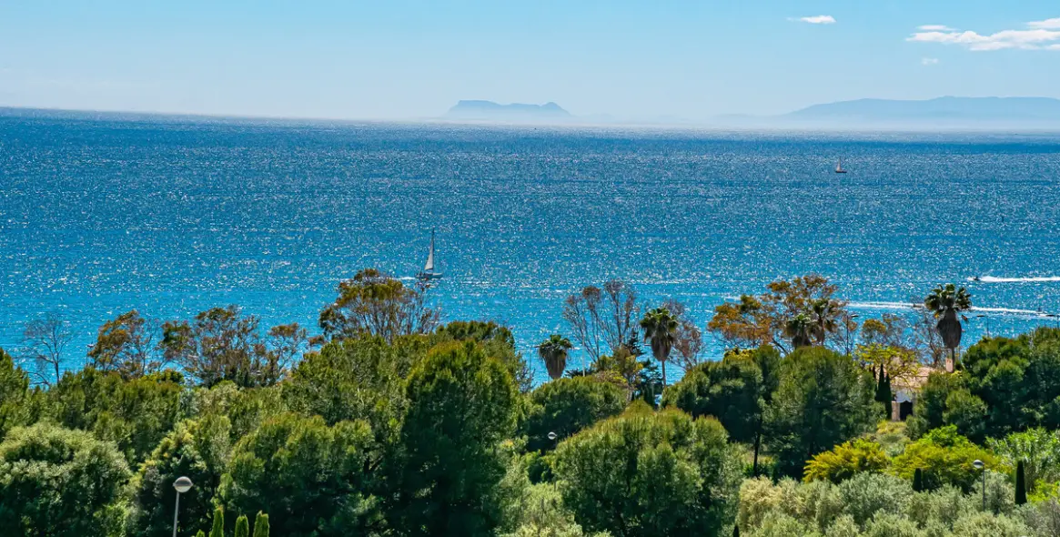 Продажа пентхауса в Marbella 2