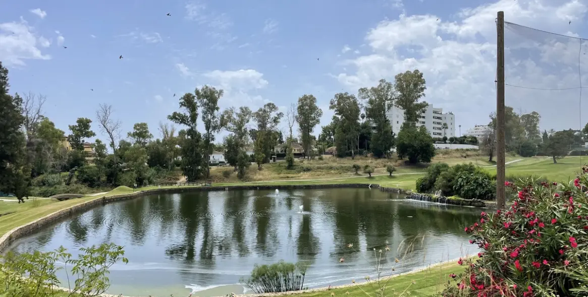 Sale of penthouse in Guadalmina Alta 3