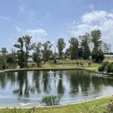 Venta de ático en Guadalmina Alta