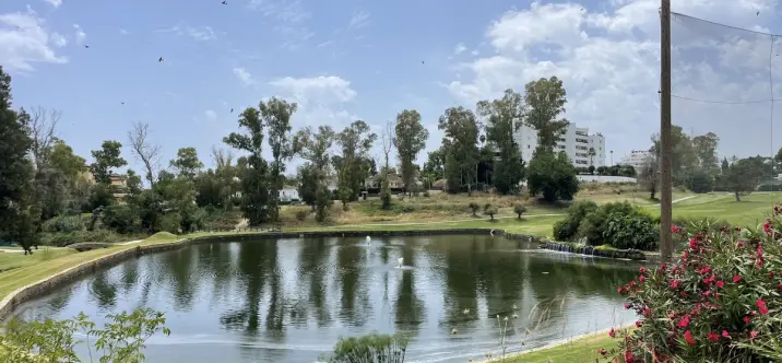 Venta de ático en Guadalmina Alta 2