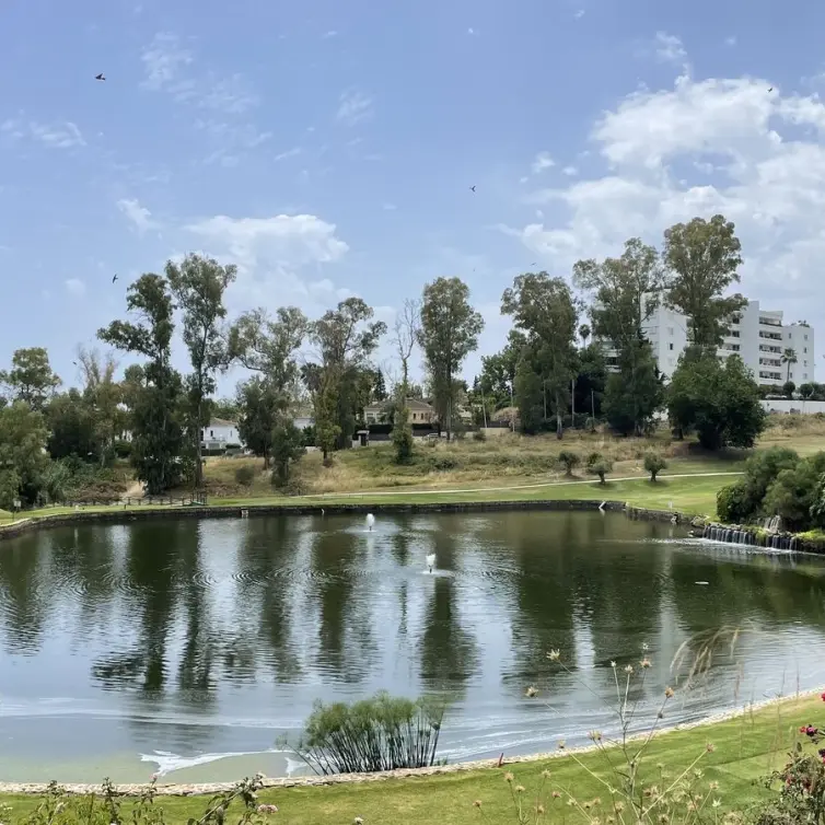 Sale of penthouse in Guadalmina Alta