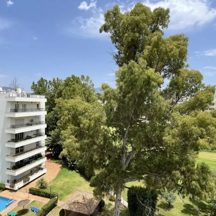 Sale of penthouse in Guadalmina Alta