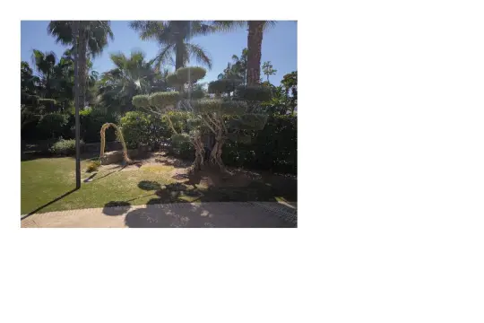 Image 73 thumb