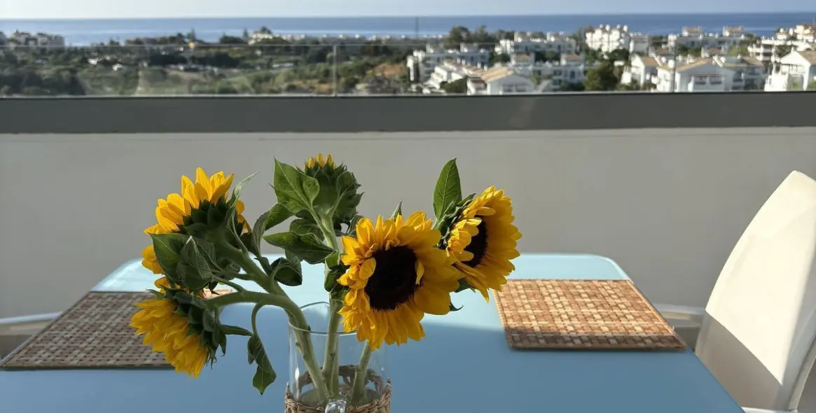 Alquiler a largo plazo de ático en Selwo 1