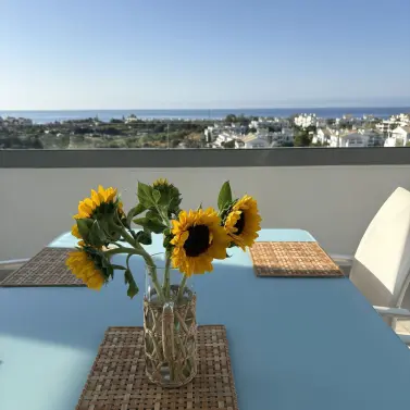 Alquiler a largo plazo de ático en Selwo