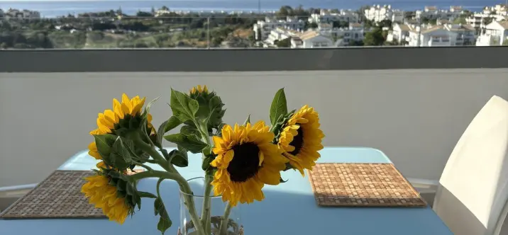 Alquiler a largo plazo de ático en Selwo 0