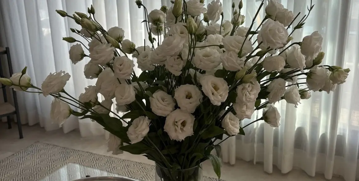 Alquiler a largo plazo de ático en Selwo 6