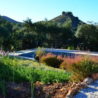 Sale of detached villa in Alora