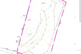 Image 5 thumb