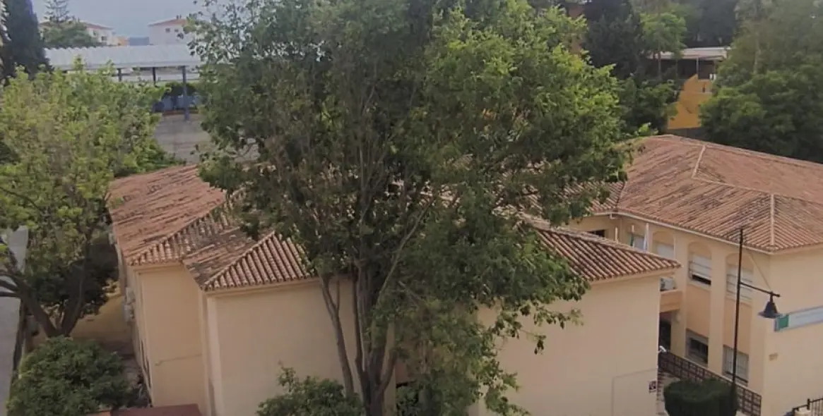 Sale of middle floor apartment in Fuengirola 18