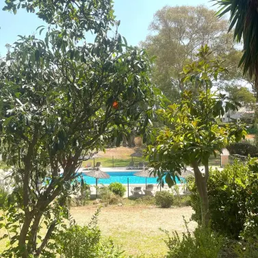 Sale of semi-detached house in Estepona