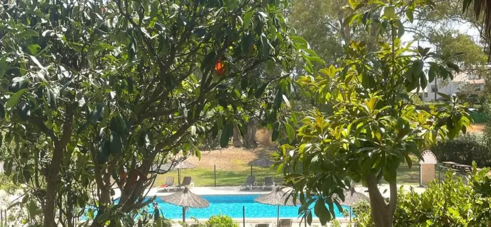Sale of semi-detached house in Estepona 0