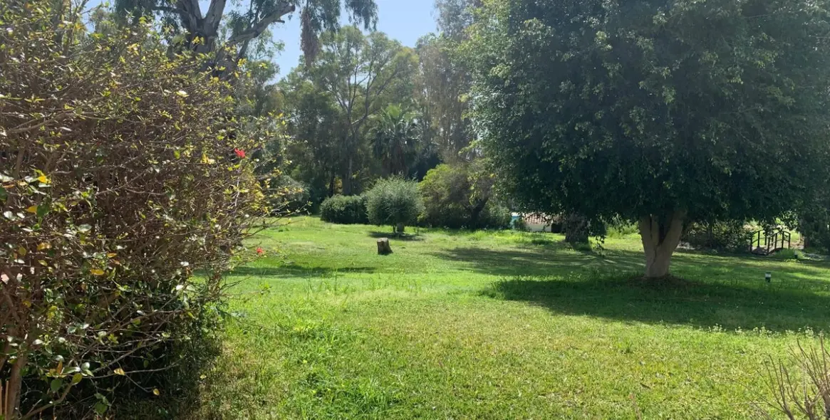 Sale of semi-detached house in Estepona 2
