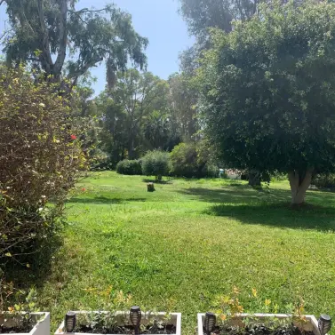 Sale of semi-detached house in Estepona
