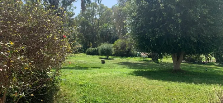 Sale of semi-detached house in Estepona 1