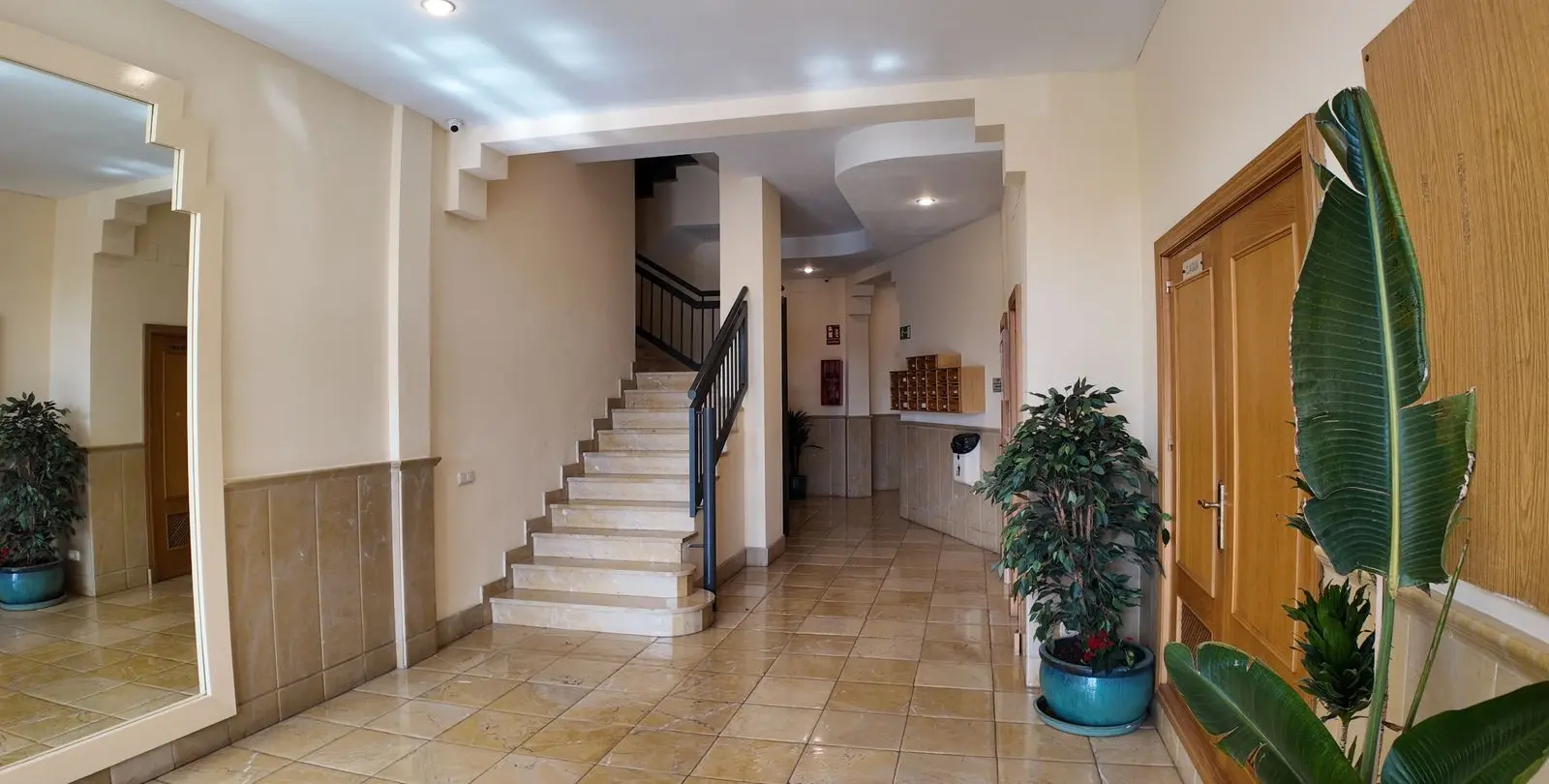 Sale of middle floor apartment in San Pedro de Alcántara 33